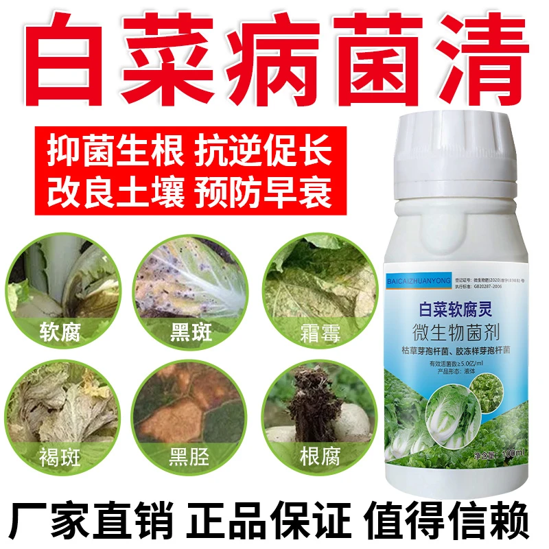 白菜病菌清白菜软腐褐斑根腐黑斑根腐霜霉黑茎配方升级微生物菌剂