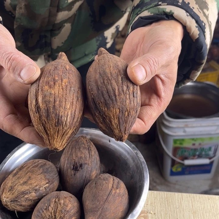 吊坠库克霍克一对，42 号。