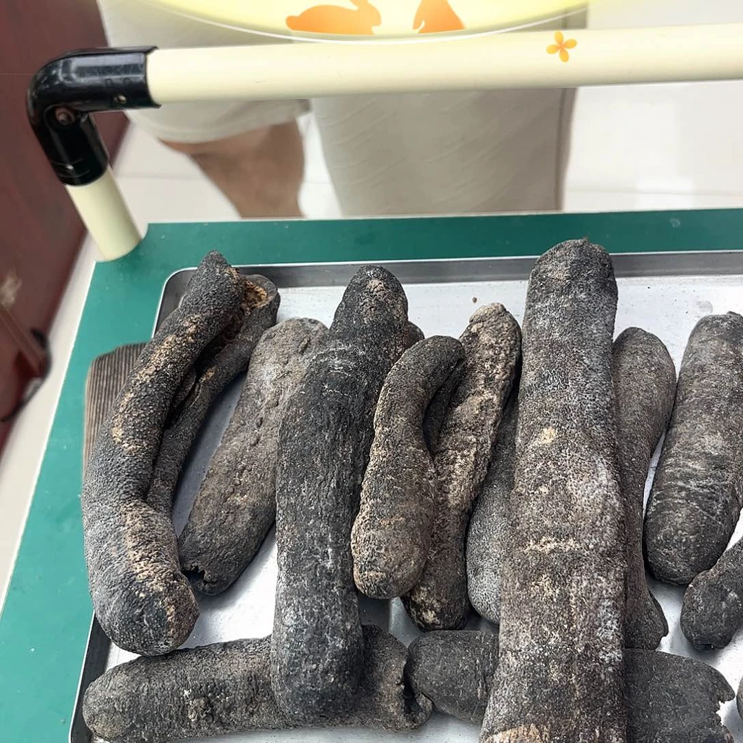 中国大陆大澳洲秃参，肉厚