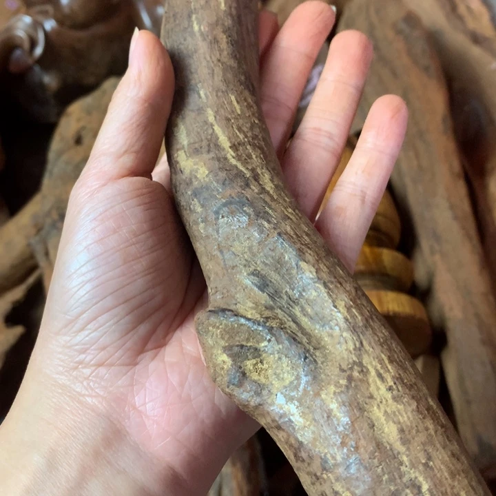 香榧木收****后海南黄花梨老料子