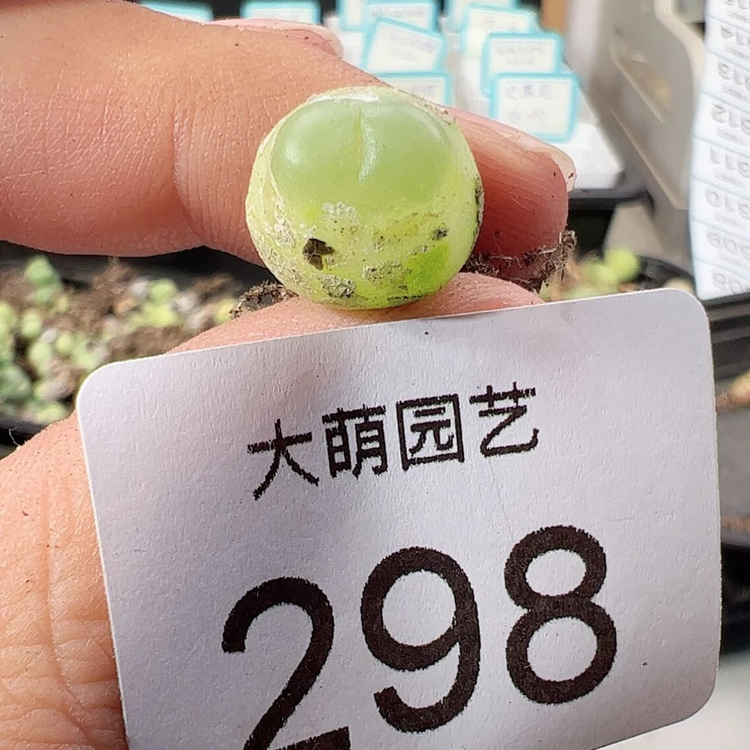 0000298 一物一拍……