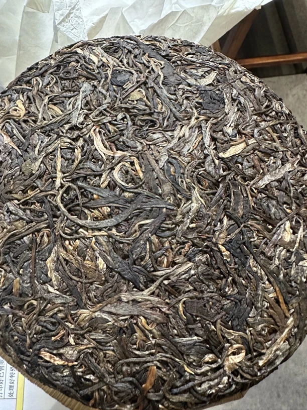 《厂长福利》2021年刮风寨古树头春