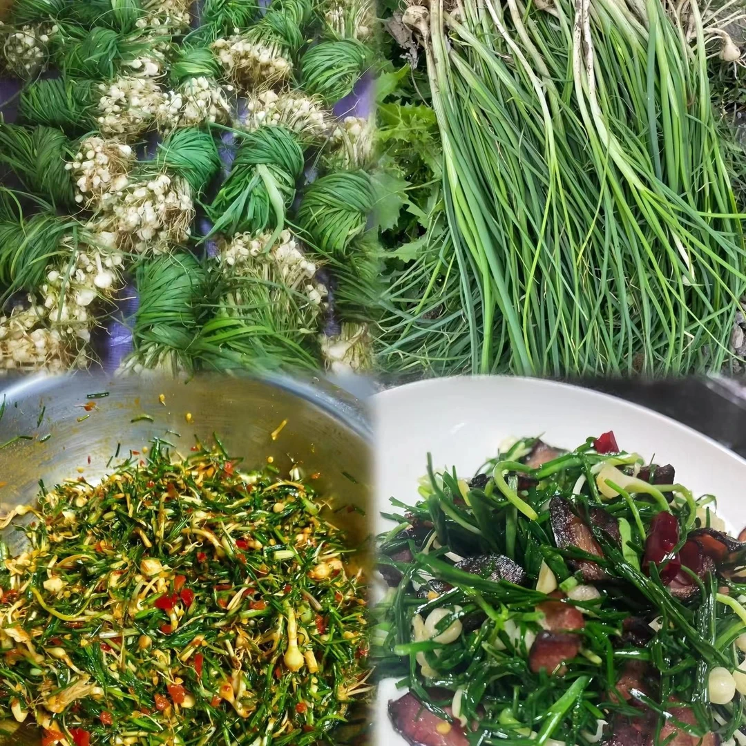 贵州高山南方野葱，现挖现发，带泥发货