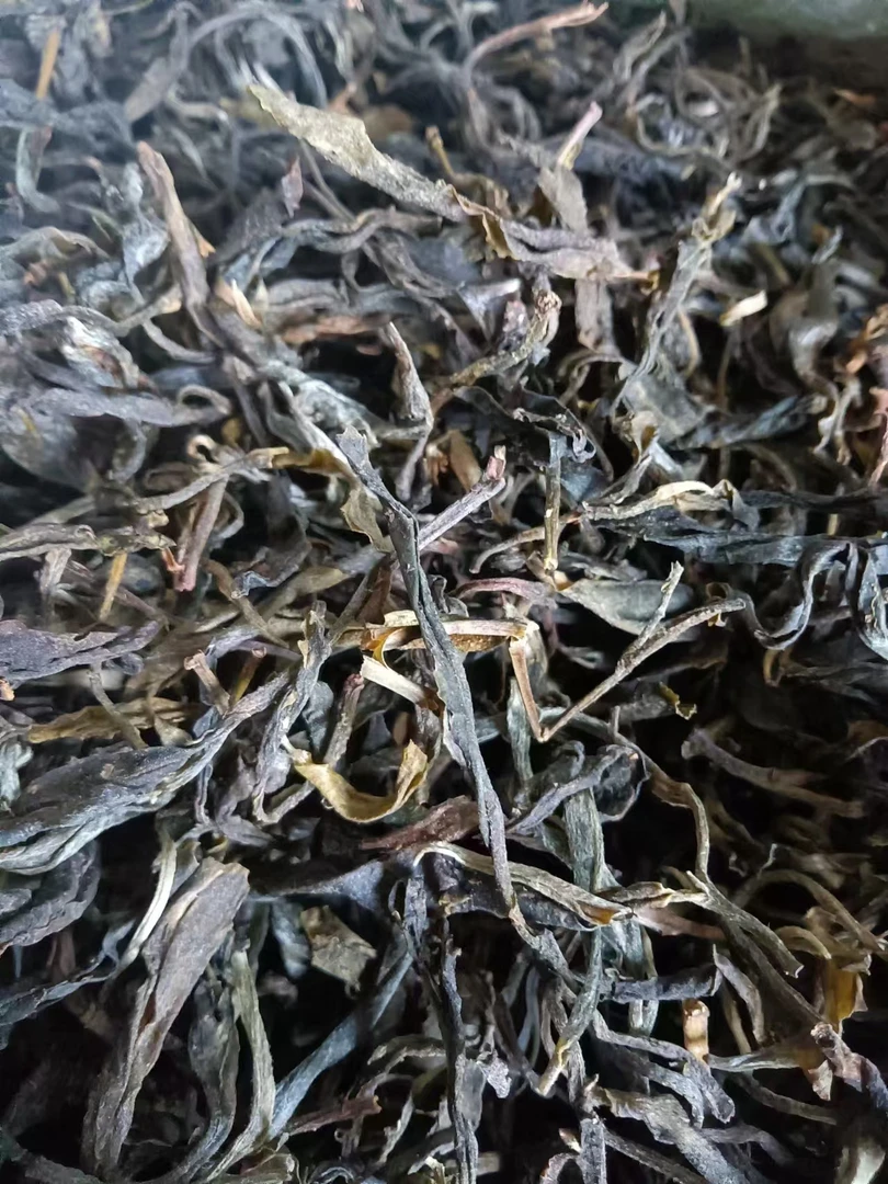 2023年 小荒田生态古树散茶  云南普洱茶生茶100g