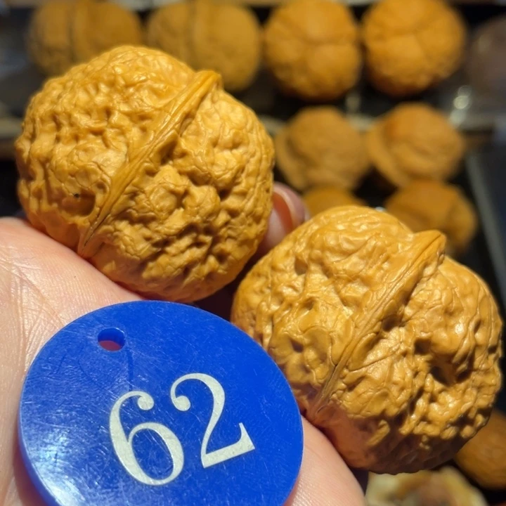 平头蟾核桃尺寸42