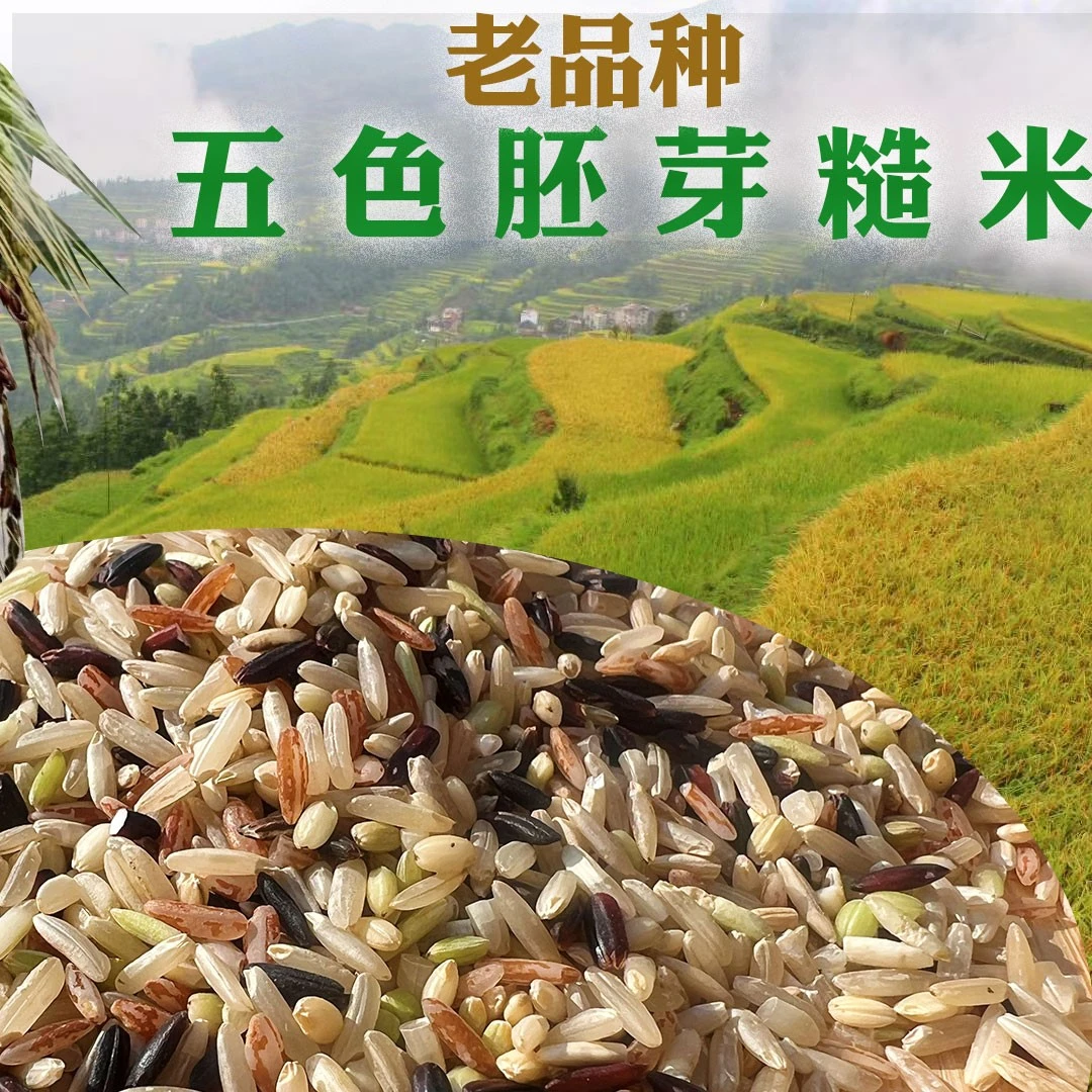 贵州老品种五色糙米