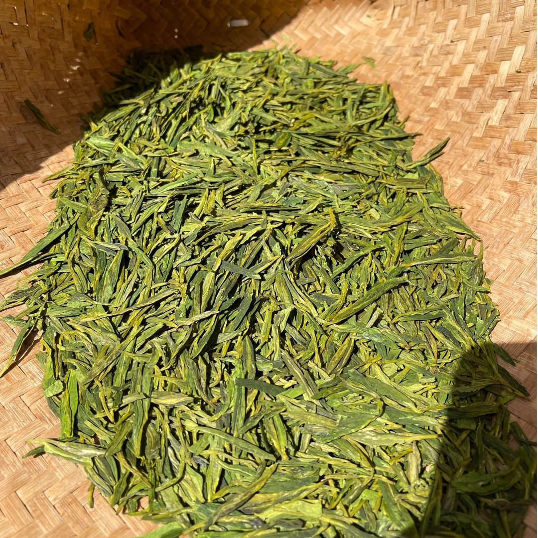2025年群体种老茶树越州龙井茶绿版茶农自销醇厚鲜爽清香花香回甘