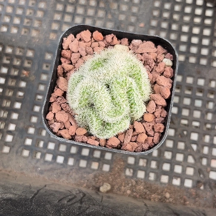 心***海我也不知道我为什么会这么