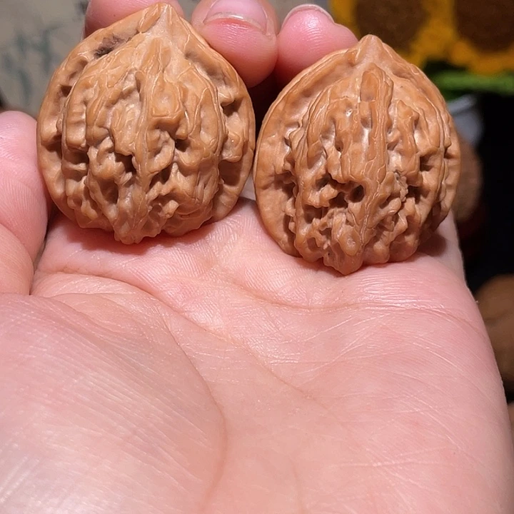 文玩核桃把件34野生郁金香