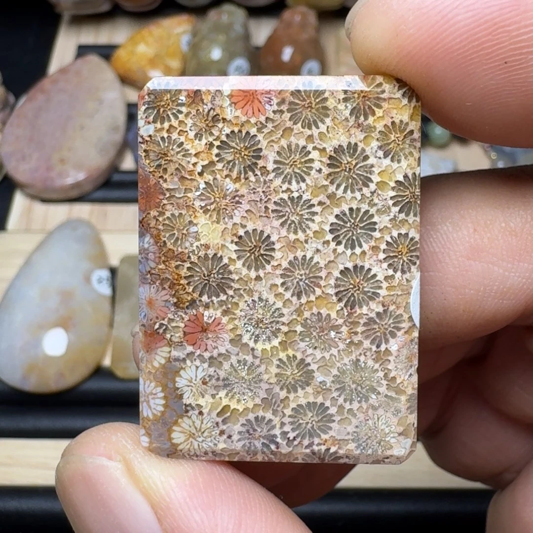 未镶嵌纯天然色有机玉石保真色硅化玉