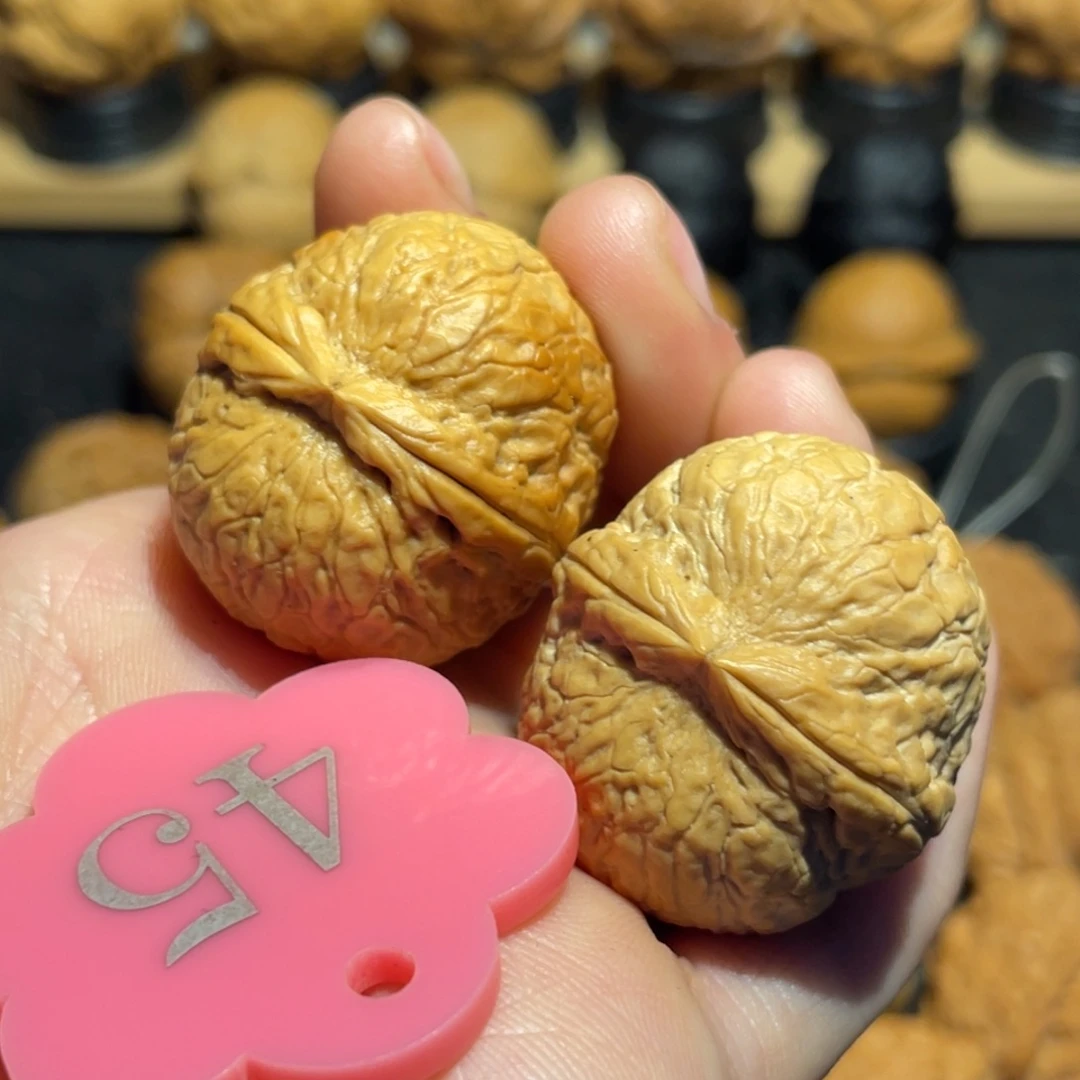 滴溜圆核桃微彩31。