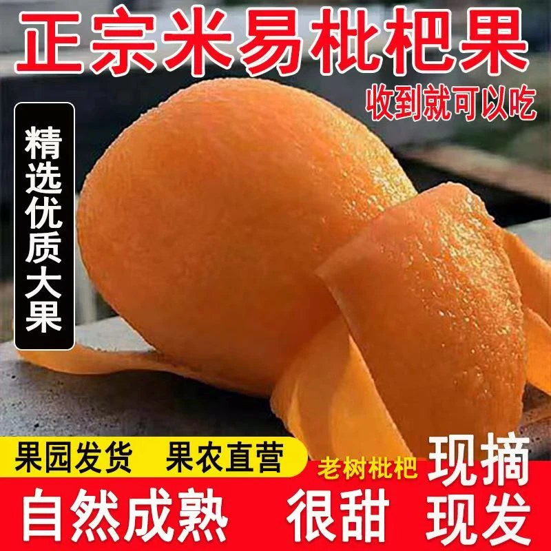 【顺丰速运】四川攀枝花米易高山枇杷优质新鲜水果1/3/5斤装