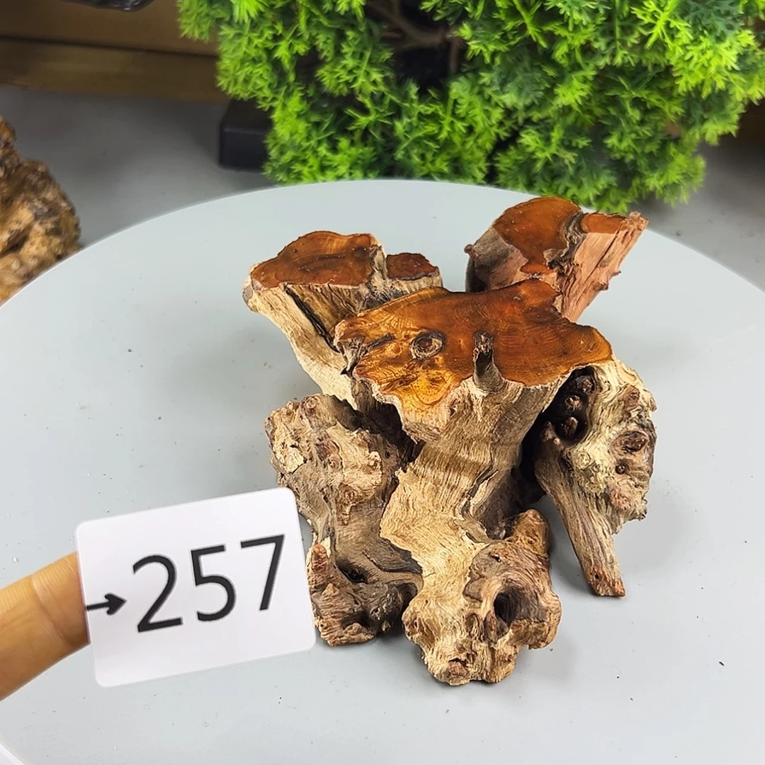 香榧木用****3火琉璃……