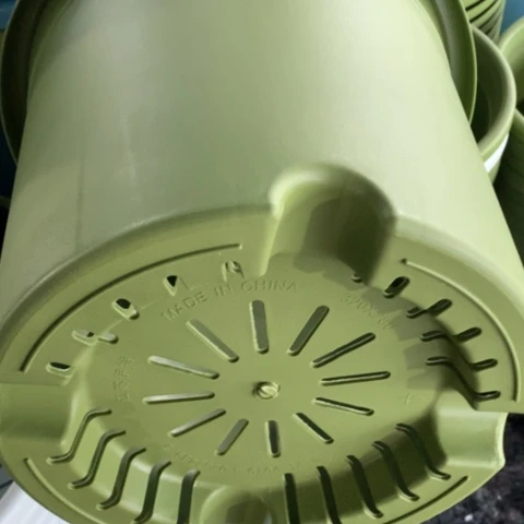 树脂5加果绿无托3个