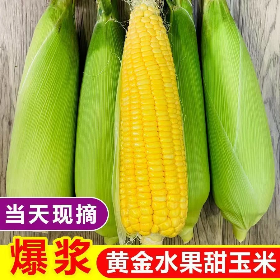 云南新鲜水果玉米香甜爆浆即食天然美味