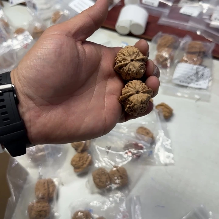 桃核吊坠虎头一号 34
