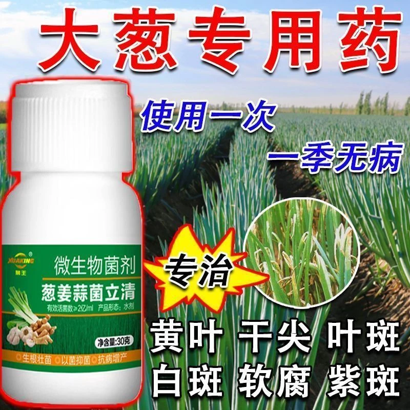 大葱病害专用药大葱病菌清霜霉干尖专用大葱专用病全治微生物菌剂