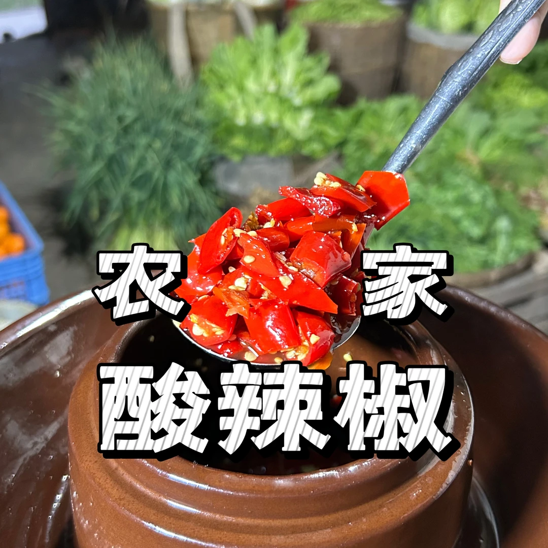 【阿林】湖南湘西农家酸辣椒