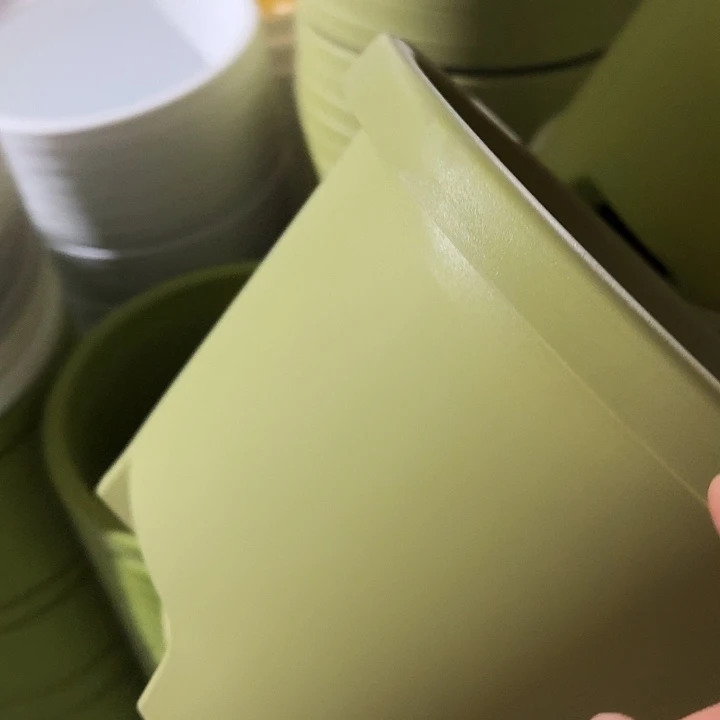 球根盆4号果绿无托5个