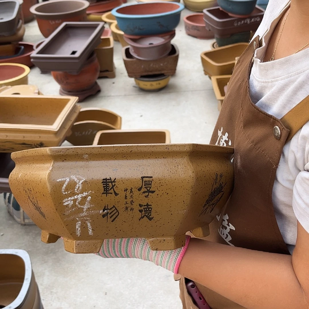 紫砂花盆盆景艺术