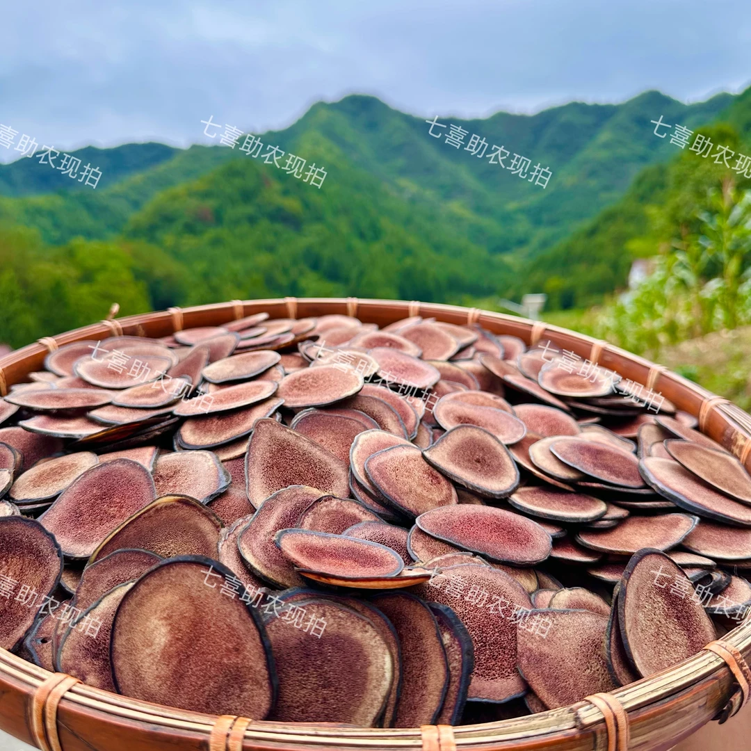 【现收鹿茸】泡酒煲汤