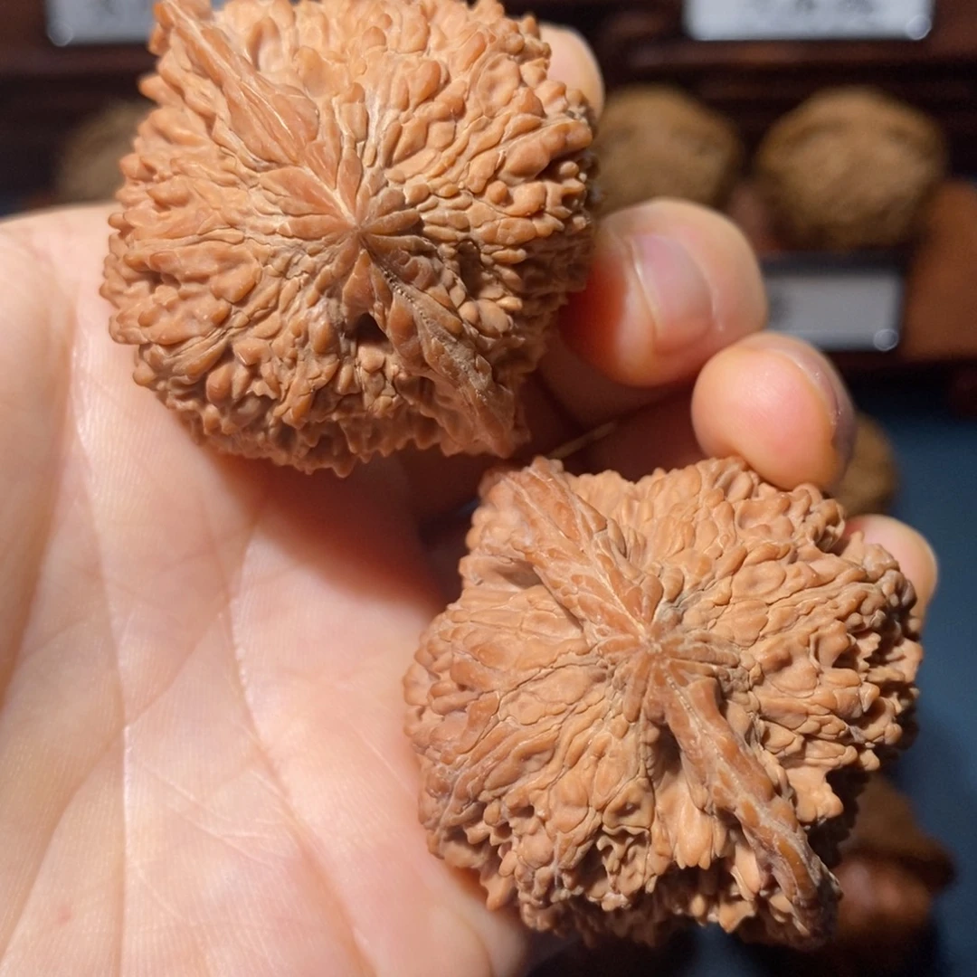 文玩核桃吊坠满天星全品45