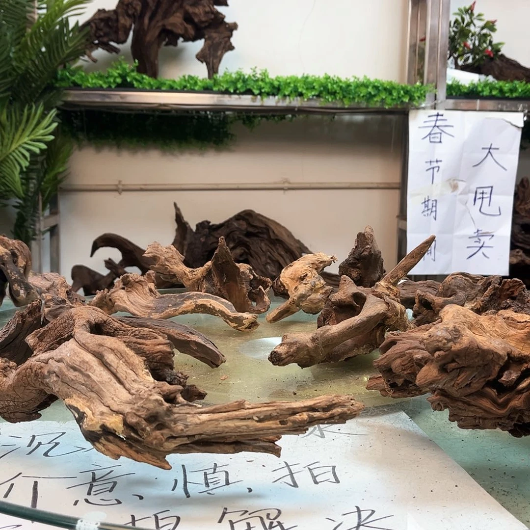 柚木沉木鱼缸造景