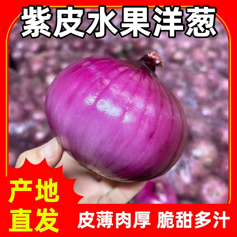 山东水果洋葱脆甜生吃农家自种二红洋葱紫皮圆葱头当季新鲜蔬菜