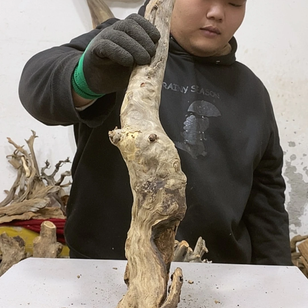 【闪购商品】柏木山****号我们都是好孩子