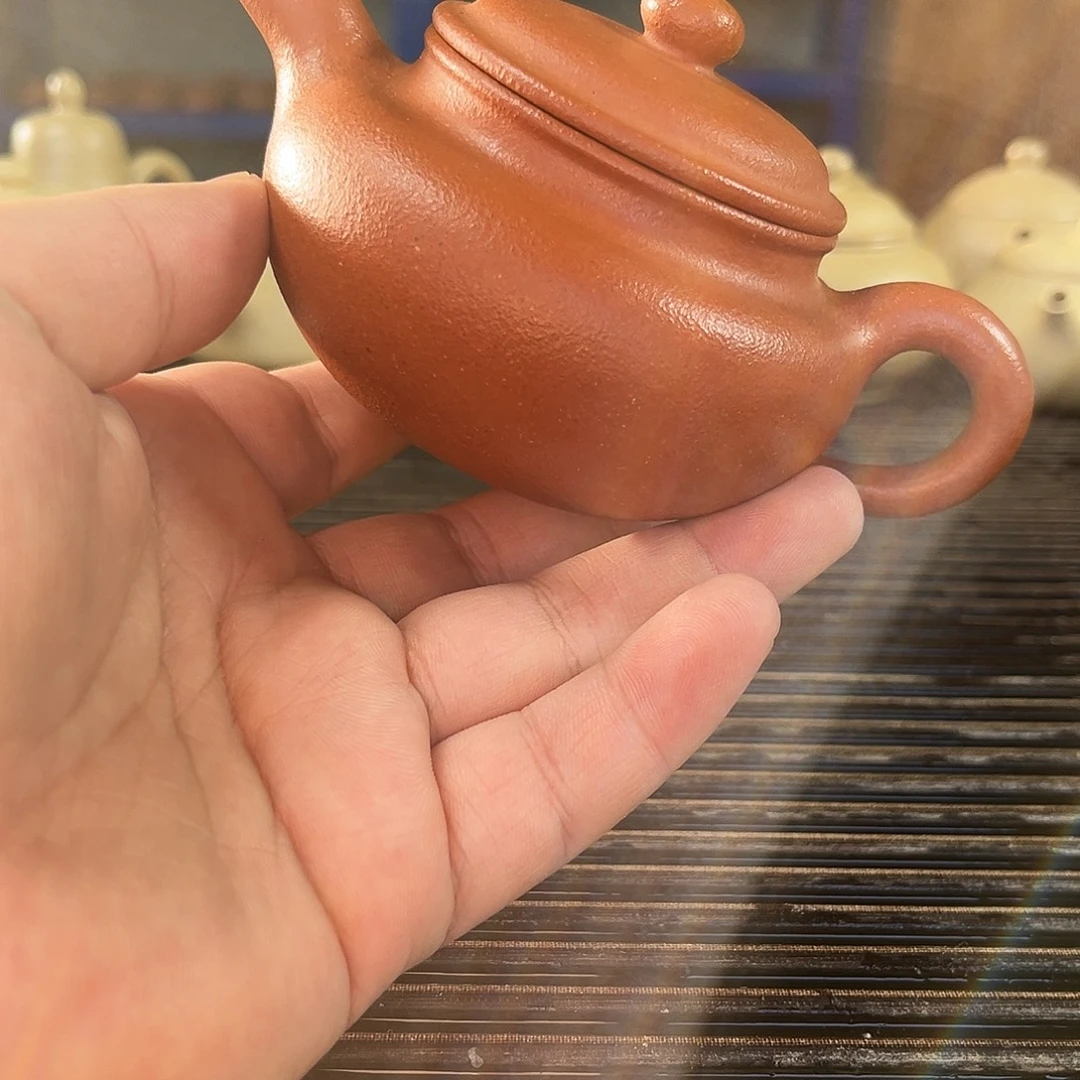 大***虫茶壶紫砂紫砂紫砂紫砂壶