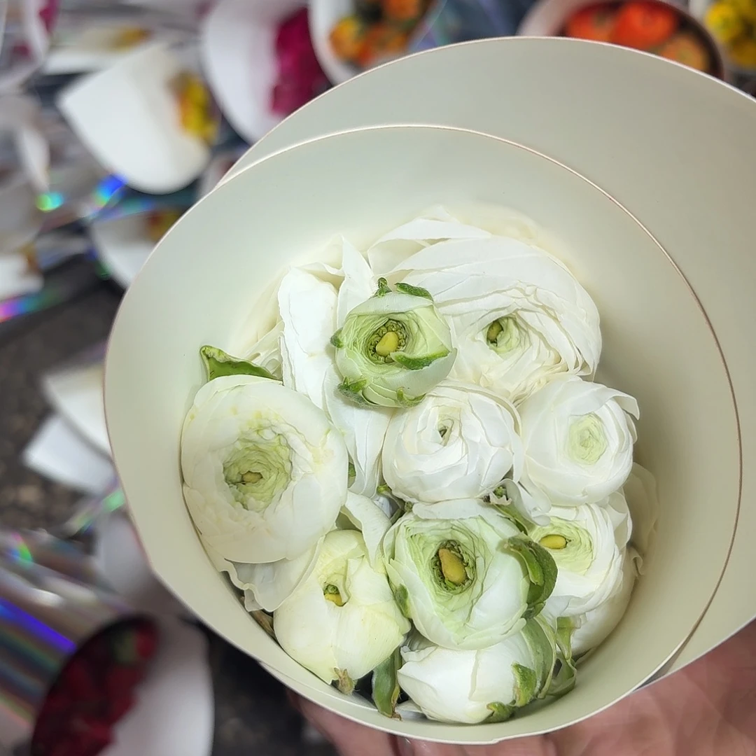 加购白色洋牡丹10支 满两件正价可拍