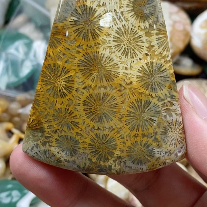 硅化珊瑚（珊瑚玉）未镶嵌颈饰