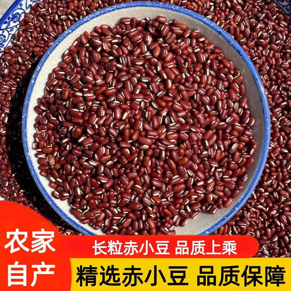 山西长粒赤小豆新货可煮水煲汤打豆浆的五谷杂粮