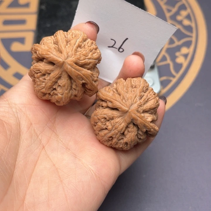文玩核桃把件39大粗筋 26号