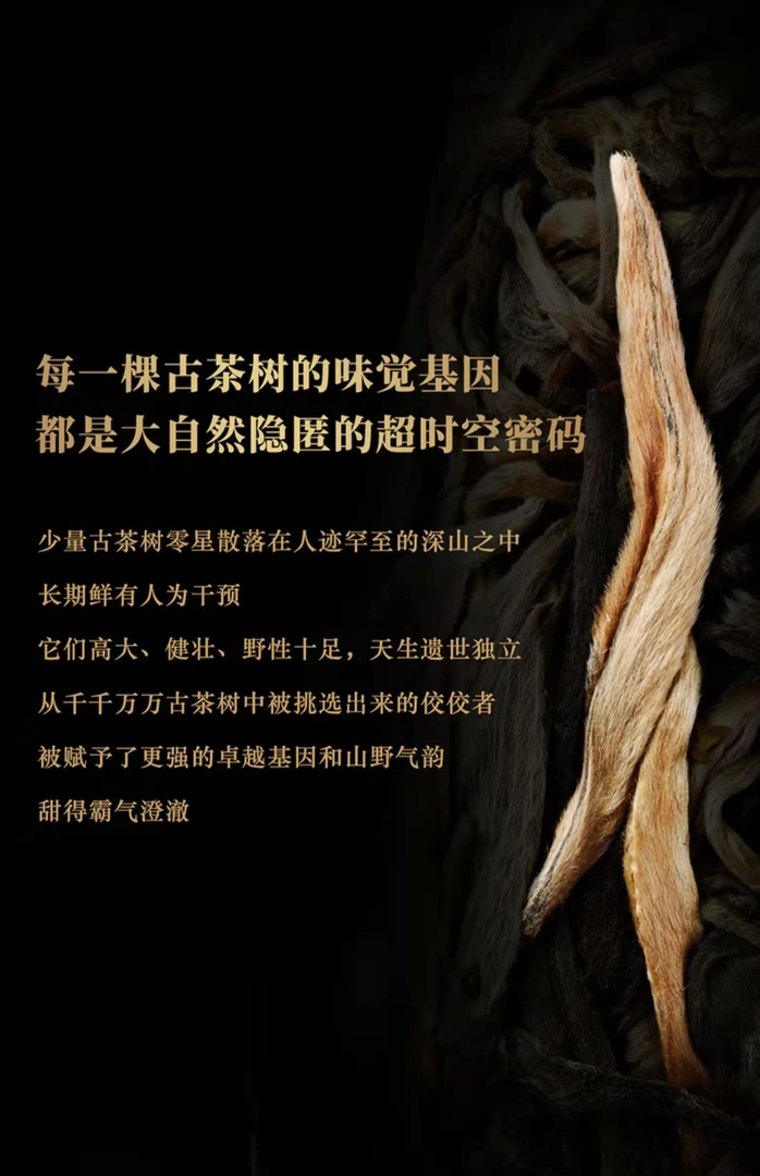 2017老古陈皮一罐250g