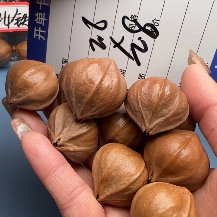 手串橄榄核橄榄核