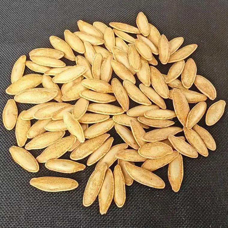 新疆美人甲南瓜子椒盐口味袋装批发包邮Y