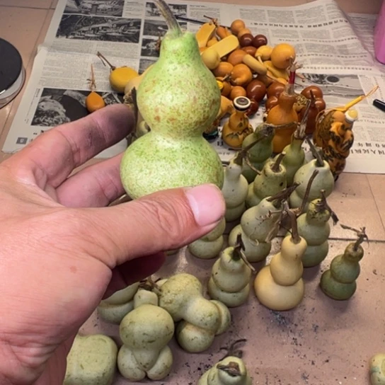 江***河葫芦葫芦等经济林木生长着大量