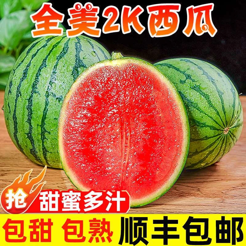 【新鲜】手撕冰糖西瓜小糖丸麒麟西瓜水果新鲜当季现摘薄皮有籽包邮