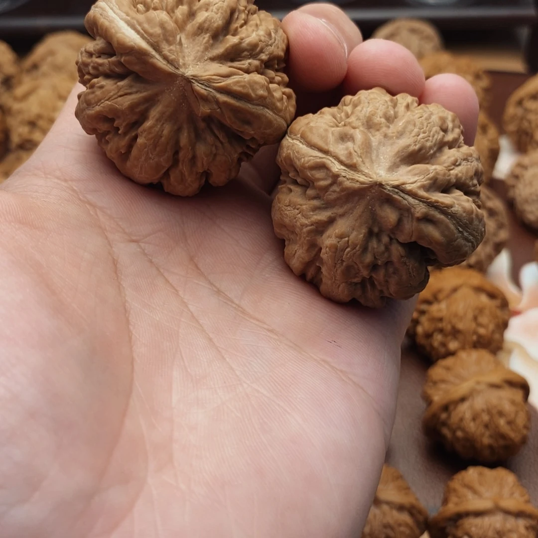 文玩核桃吊坠霸王龙