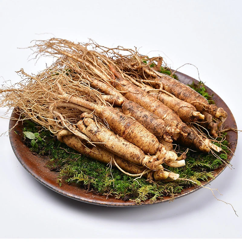 长白山新鲜人参单支15-20克14-15支250克包邮