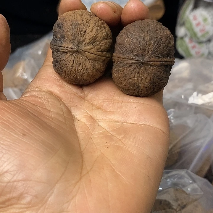 核桃云南铁核桃基地88