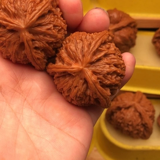 W***文玩核桃吊坠核桃