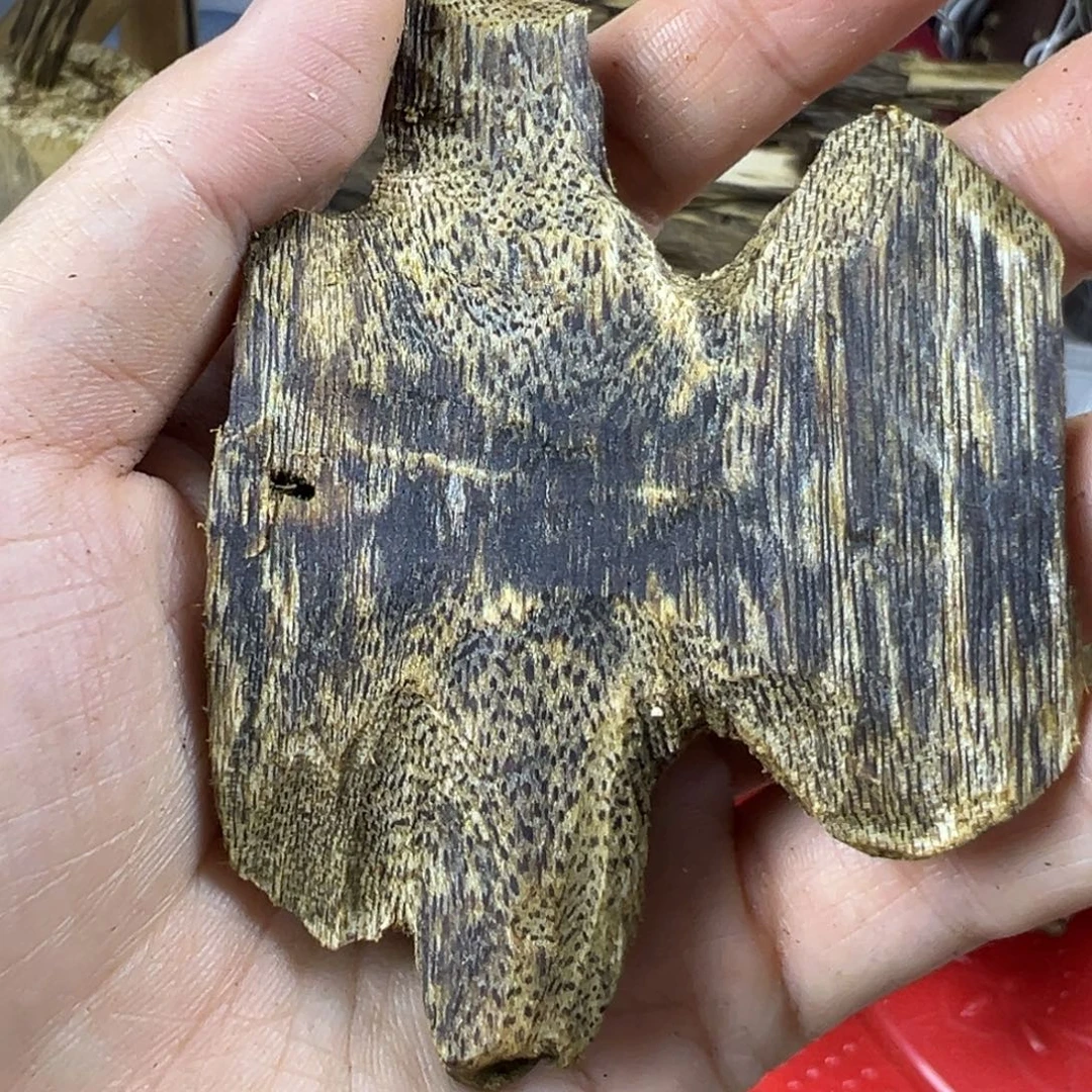 线香奇楠虫漏香19克