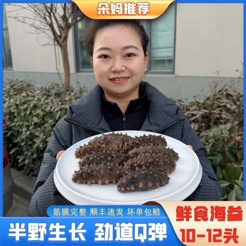 【朵妈海鲜】海参半野海参配料干净不添加10-12头/斤 两斤装