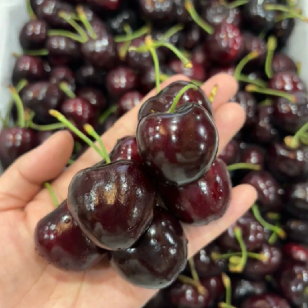 【胜利大樱桃①斤】3—4勾，口感脆甜，惊爆价秒杀J美早