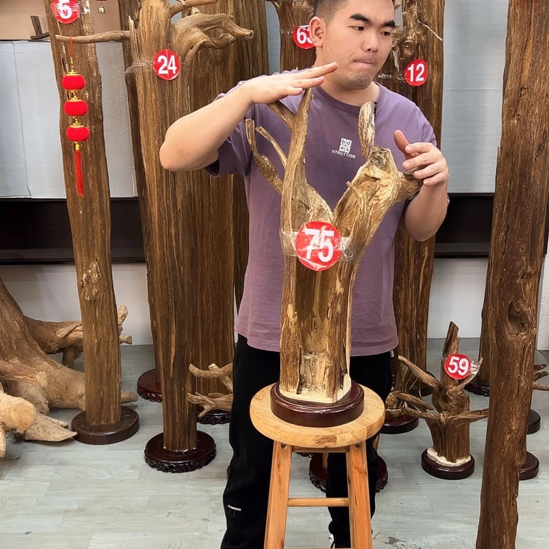 沉香摆件小**光沉香摆件