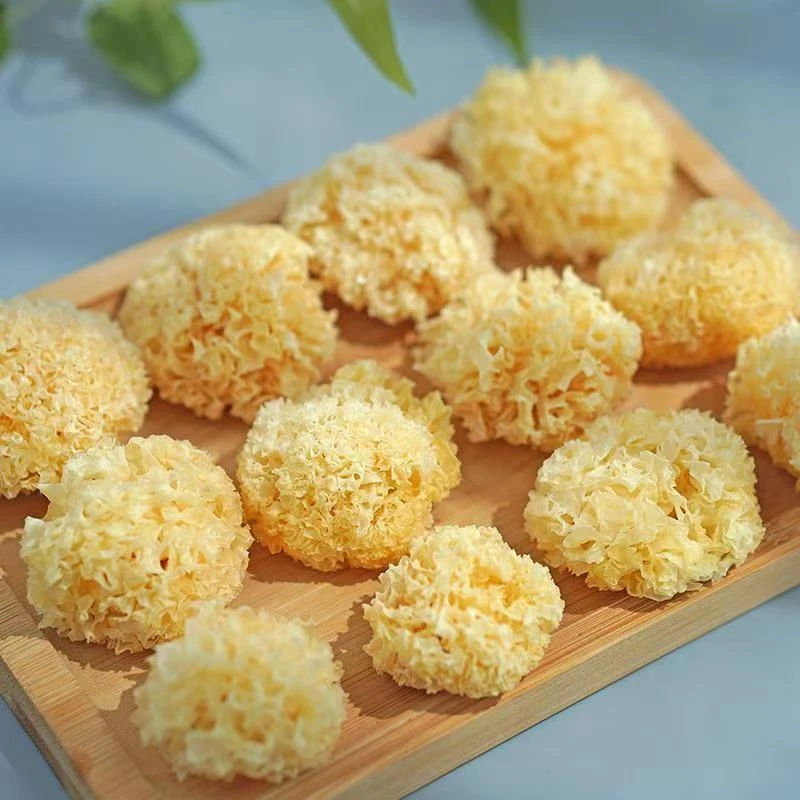 古田椴木小银耳干货软糯多胶适合熬制红枣莲子银耳羹