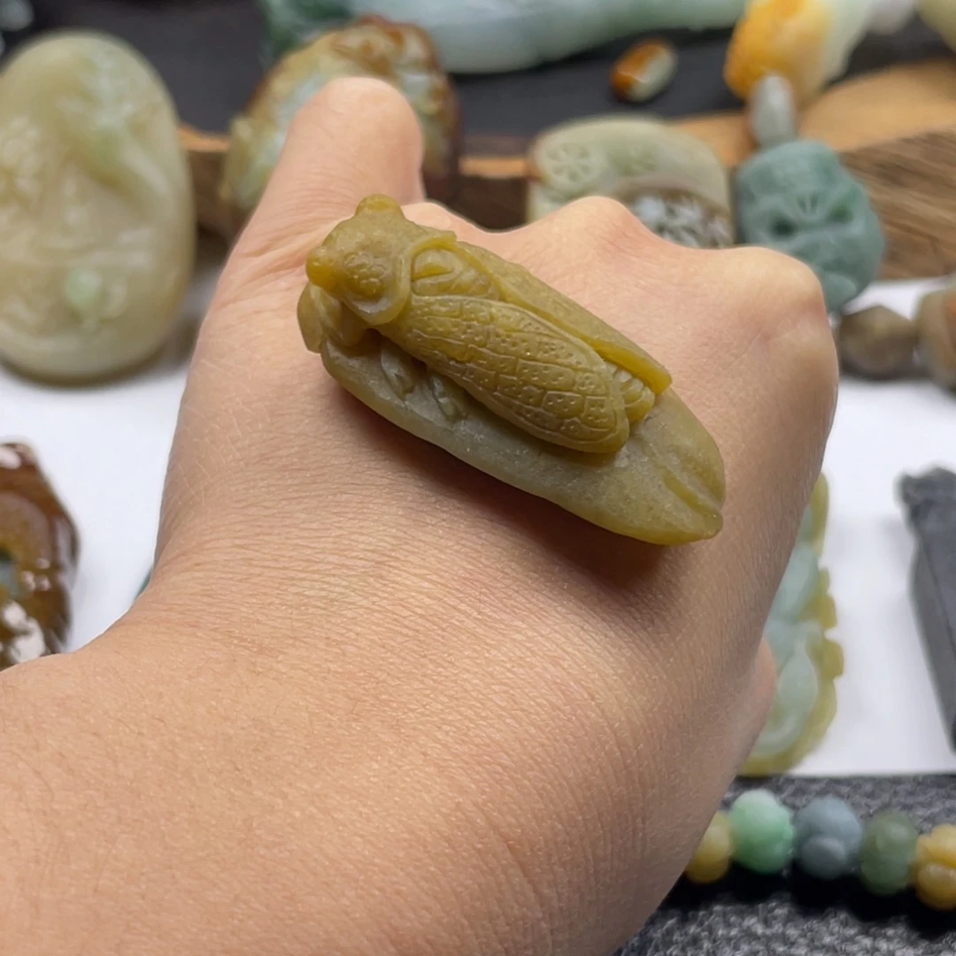 定制翡翠未镶嵌蝉