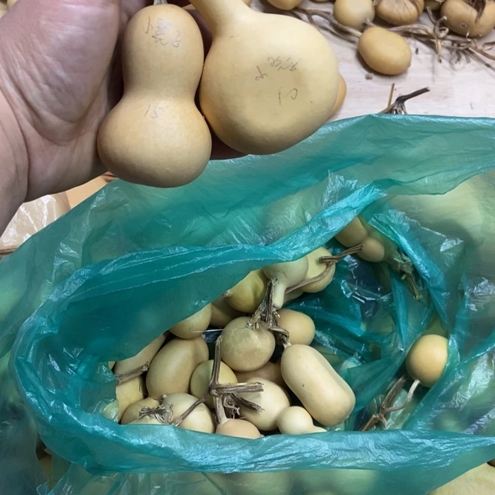 ****小凳子小凳子小凳子